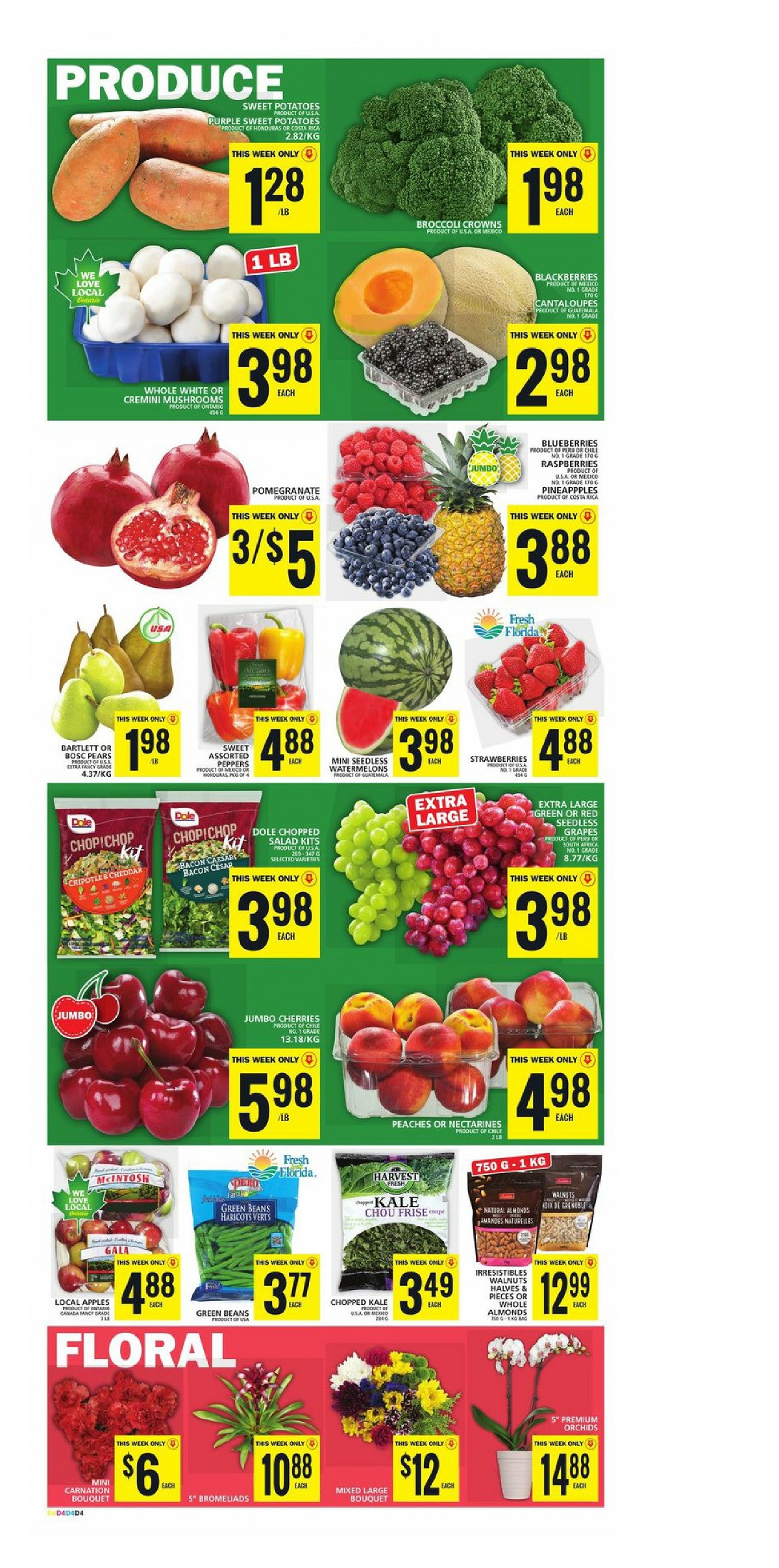 Food Basics Flyer February 29 March 6 2024 Flyers Ads Canada 5062